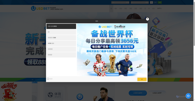 Security scan screenshot of https://usdbetvip1.biz/