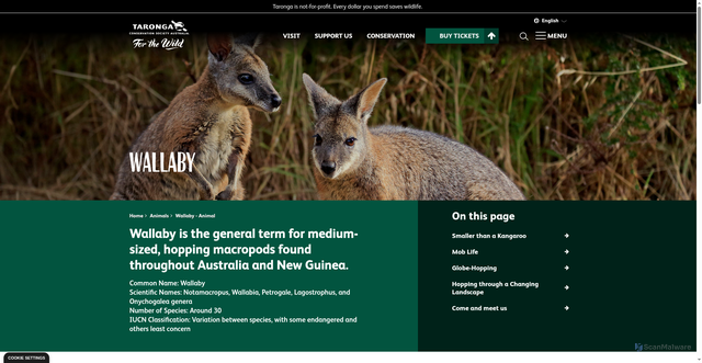 Security scan screenshot of http://taronga.org.au/animals/wallaby