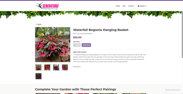 Security scan screenshot of https://generationsperforming.sowzer.com/shop_/t23049/t33179-waterfall-begonia-hanging-basket
