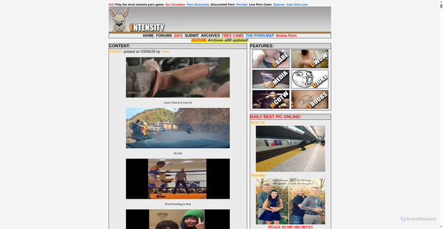 Security scan screenshot of https://entensity.net
