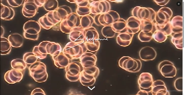 Security scan screenshot of https://stefanie.nu