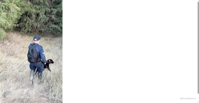 Security scan screenshot of https://resourcesssl.newscdn.com.au/cs/video/vjs/stable/build/index.html?id=5348771529001-6388655074112