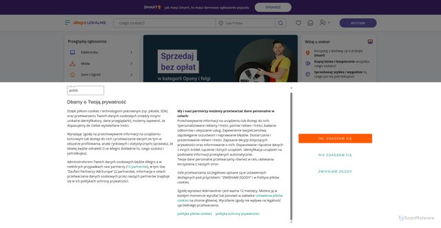 Security scan screenshot of https://allegrolokalnie.pl-oferta754387.pl/