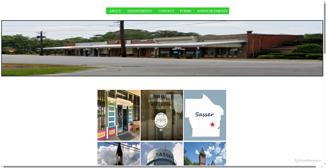 Security scan screenshot of https://townofsasserga.gov/