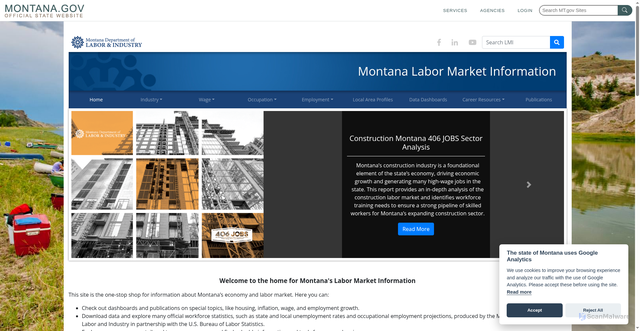 Security scan screenshot of https://lmi.mt.gov/