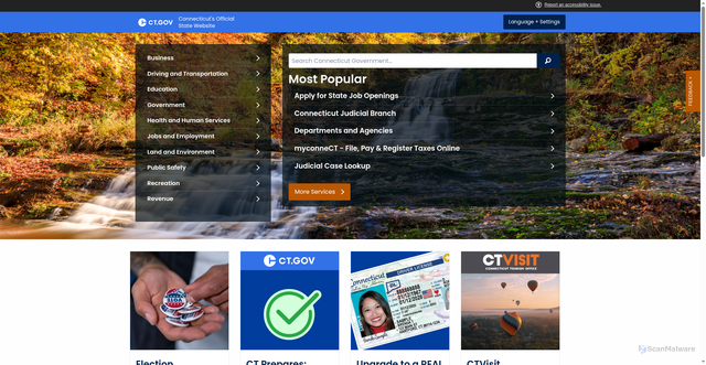 Security scan screenshot of https://portal.ct.gov/