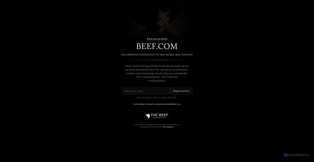 Security scan screenshot of https://beef.com