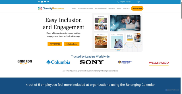Security scan screenshot of https://diversityresources.com