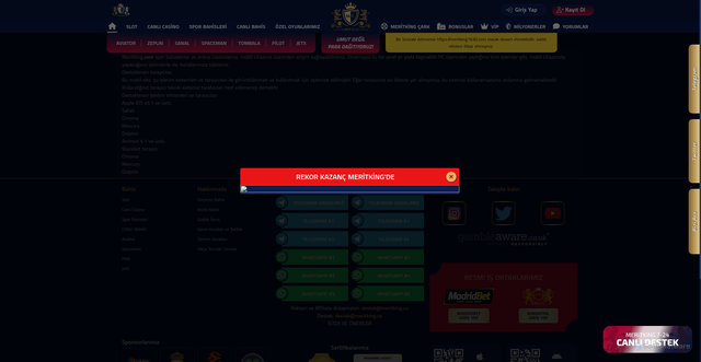 Security scan screenshot of https://mwritking1695.com/mobilbahis