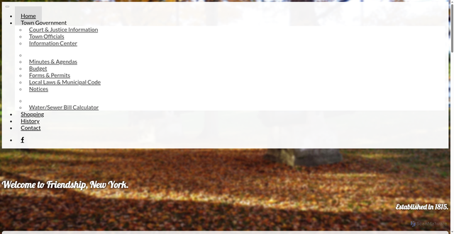 Security scan screenshot of https://friendshipny.gov/