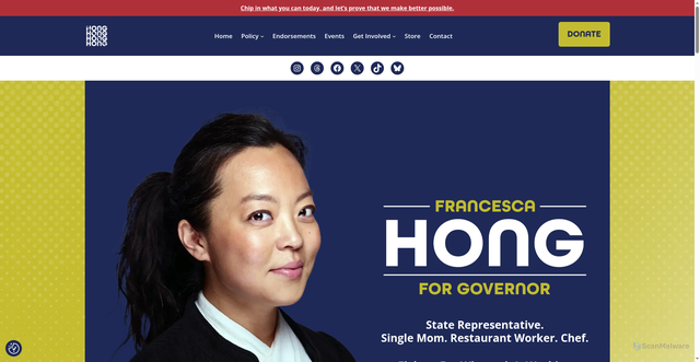 Security scan screenshot of https://francescahong.com/