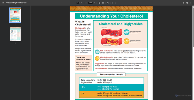 Security scan screenshot of https://www.ihs.gov/sites/diabetes/themes/responsive2017/display_objects/documents/printmat/understanding_your_cholesterol.pdf