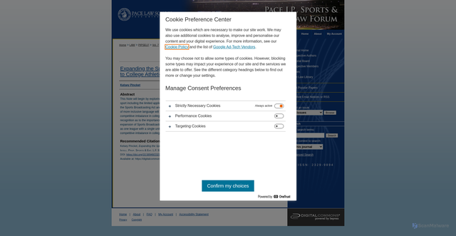 Security scan screenshot of https://digitalcommons.pace.edu/pipself/vol7/iss1/3/