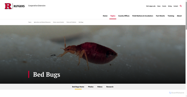 Security scan screenshot of https://extension.rutgers.edu/bed-bug