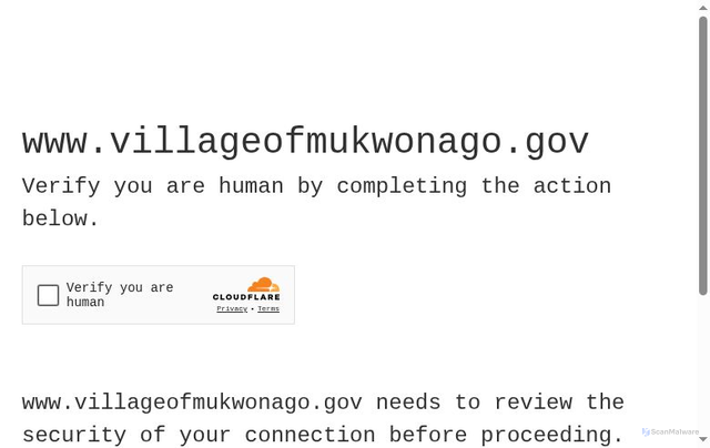 Security scan screenshot of https://www.villageofmukwonago.gov/