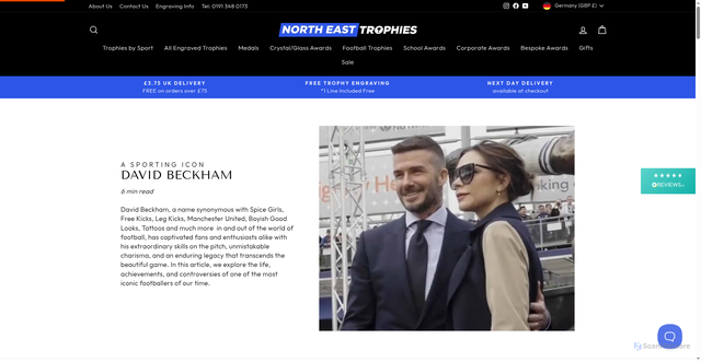 Security scan screenshot of https://www.netrophies.co.uk/blogs/world-of-winners/david-beckham-a-sporting-icon