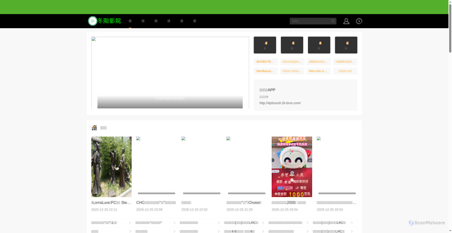 Security scan screenshot of https://4p5cixx9.2k-bros.com