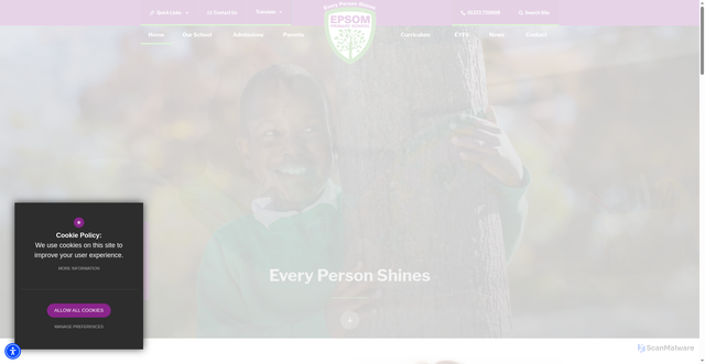 Security scan screenshot of http://www.epsomprimaryschool.co.uk/