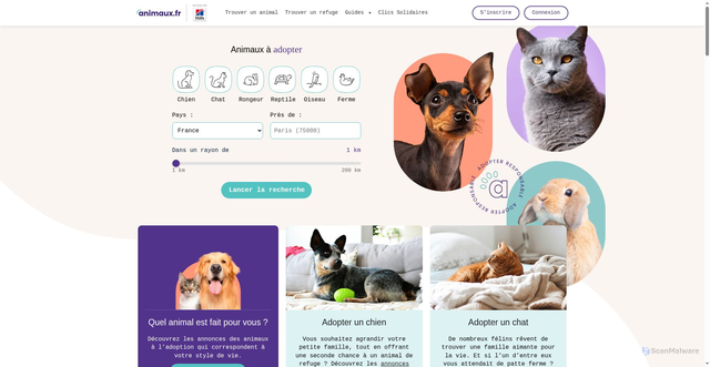 Security scan screenshot of https://www.animaux.fr