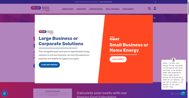 Security scan screenshot of https://npowerbusinesssolutions.com
