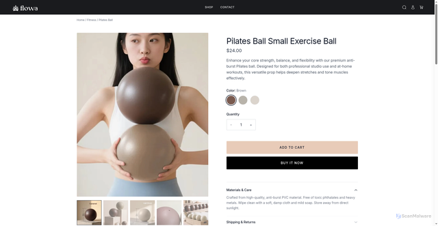 Security scan screenshot of https://yogaball.flowayoga.net/?gad_source=5&gad_campaignid=23716516775