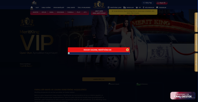 Security scan screenshot of https://neritking1695.com/vip