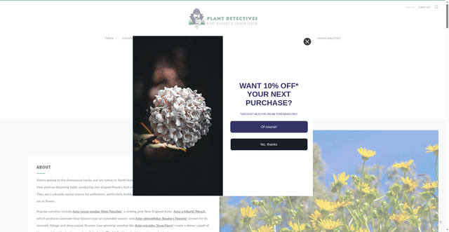 Security scan screenshot of https://plantdetectives.com/pages/the-aster-guide?srsltid=AfmBOopQF7KCMTpP_6GVmnwX8WCPYlz_U-oPqkhqAWDLh1KofpMKCymJ