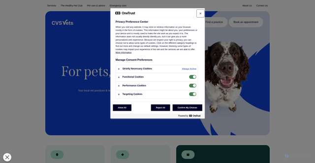 Security scan screenshot of https://cvsvets.com