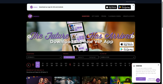 Security scan screenshot of https://vipcinemas.com/vip-moline-14