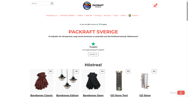 Security scan screenshot of https://packraft-sverige.se/