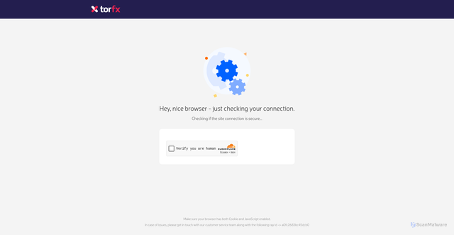 Security scan screenshot of https://torfx.com