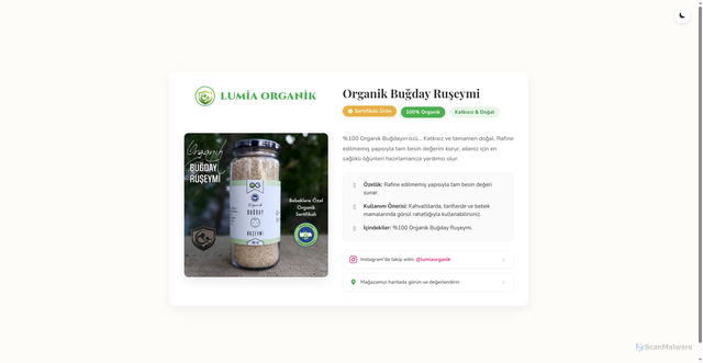 Security scan screenshot of https://lumia-6xpk7nz7tm.edgeone.app/