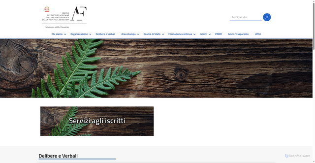 Security scan screenshot of https://ordinetreviso.conaf.it/