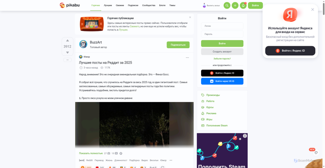 Security scan screenshot of https://cs15.pikabu.ru