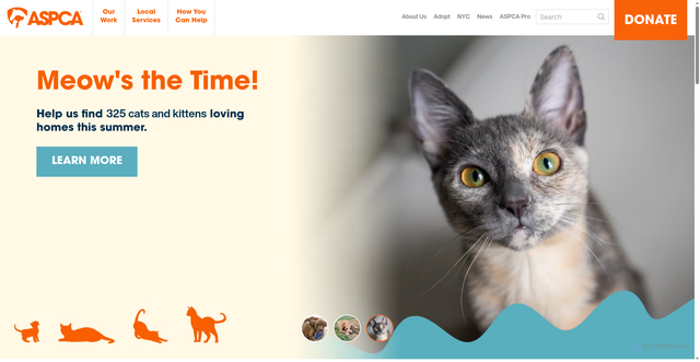 Security scan screenshot of https://www.aspca.org