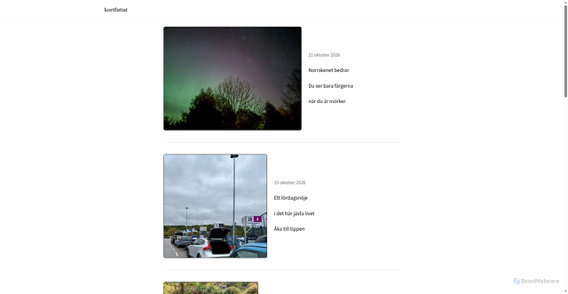 Security scan screenshot of https://wieselgren.se