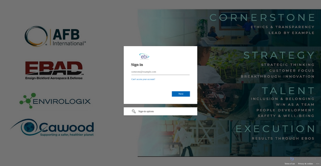 Security scan screenshot of https://ensignbickfordindustries.crm.dynamics.com