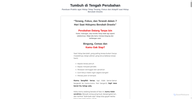 Security scan screenshot of http://automonet.com/