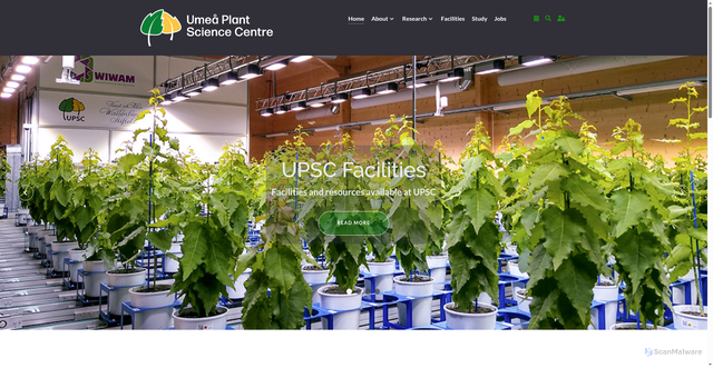 Security scan screenshot of https://upsc.se