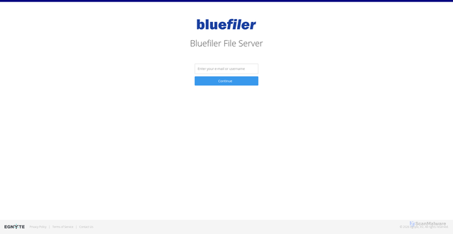 Security scan screenshot of https://bluefiler.egnyte.com