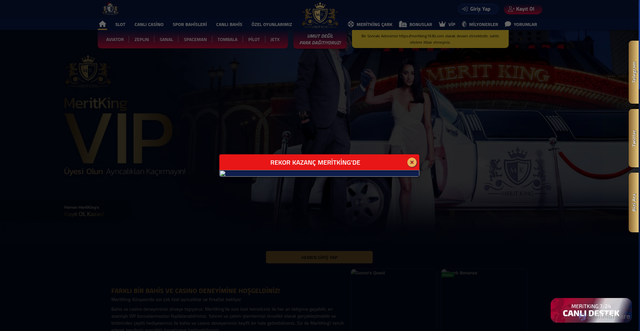 Security scan screenshot of https://merirking2006.com/vip