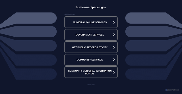 Security scan screenshot of https://burttownshipacmi.gov/