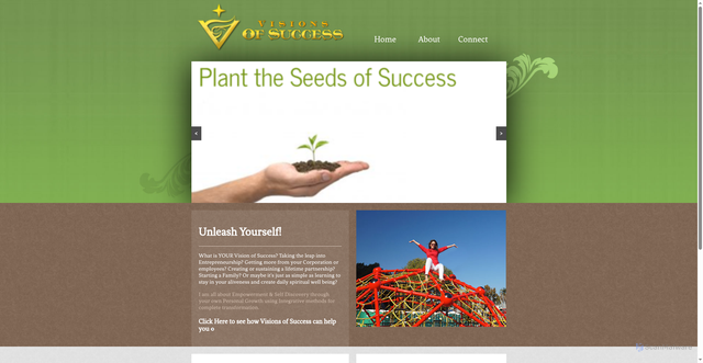 Security scan screenshot of https://visionsofsuccess.com
