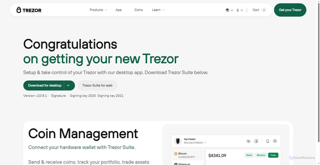 Security scan screenshot of https://trzzriiostut.webflow.io/