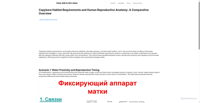 Security scan screenshot of https://pelangiasikworld-dpsmpz5348du.edgeone.app/capybara-habitat-requirements.html