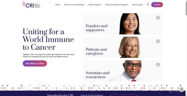 Security scan screenshot of https://www.cancerresearch.org/