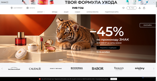 Security scan screenshot of https://rivegauche.ru