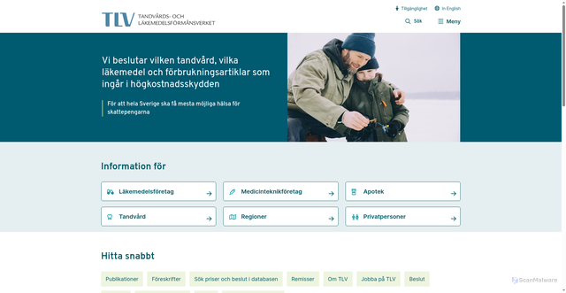 Security scan screenshot of https://www.tlv.se/