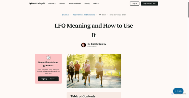 Security scan screenshot of https://prowritingaid.com/lfg-meaning