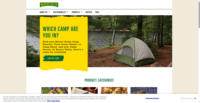 Security scan screenshot of https://naturevalley.com